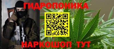 крисы Нальчик
