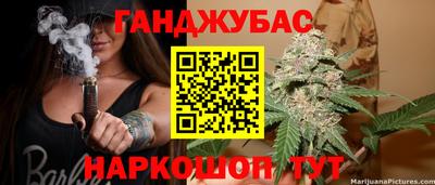 крисы Нальчик