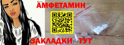 крисы Нальчик