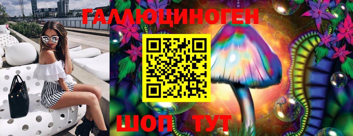 Галлюциногенные грибы Psilocybe Фролово