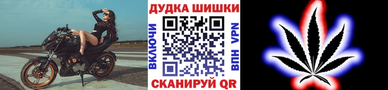 Бошки Шишки гибрид Фролово